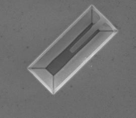 A scanning electron micrograph of a silicon oxide cantilever attached to a Si/SiO2 host. 